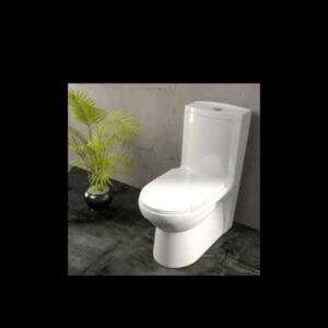 خرید توالت فرنگی چینی بهداشتی گلسار